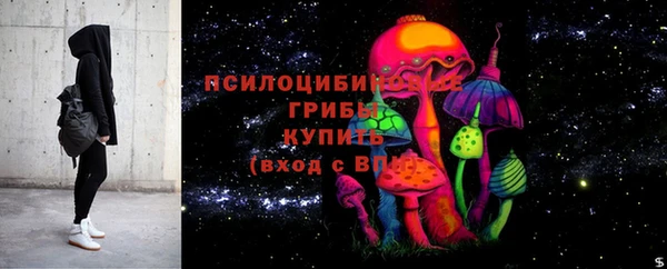 экстази Вяземский